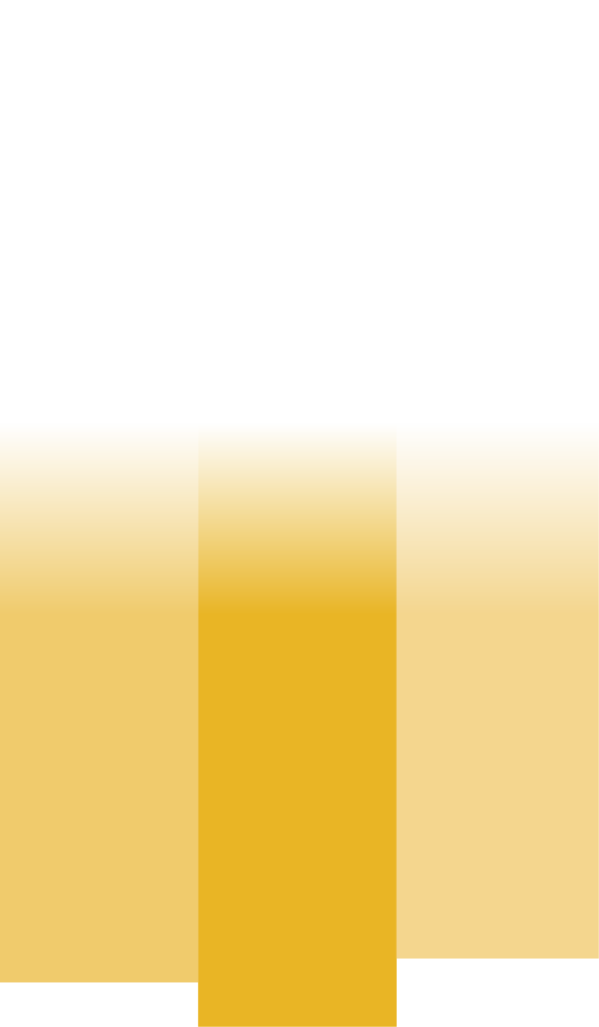 Group