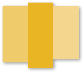 Group
