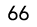 66