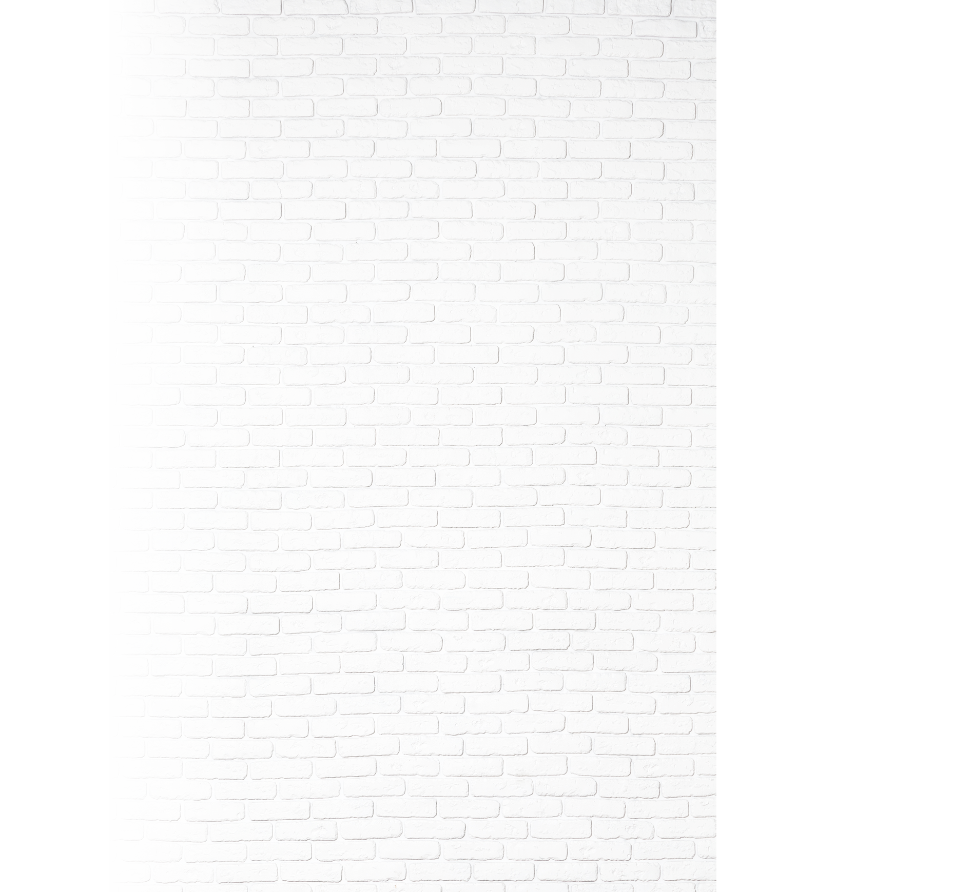 White brick wall texture background