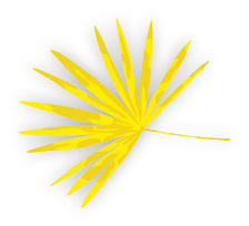 Group