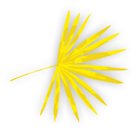 Group