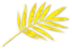 Group