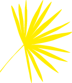 Polygon