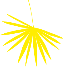 Polygon
