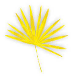Group