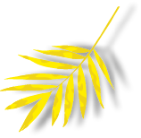 Group