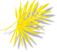 Group
