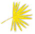 Group