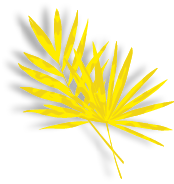 Group
