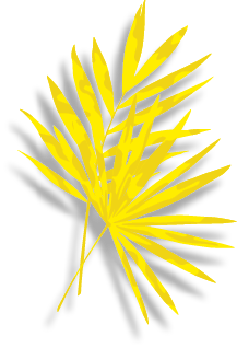 Group